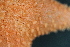  ( - NA097-172-02-A-BOL)  @11 [ ] CreativeCommons - Attribution Non-Commercial Share-Alike (2018) Tammy Norgard Ocean Exploration Trust, Northeast Pacific Seamount Expedition Partners