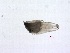  ( - IOS201839-075)  @11 [ ] CreativeCommons - Attribution Non-Commercial Share-Alike (2018) Kelly Young The Institute of Ocean Sciences - Fisheries and Oceans Canada