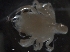  ( - IOS2010036-026)  @11 [ ] Unspecified (default): All Rights Reserved  R John Nelson Unspecified