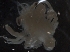  ( - IOS2010036-026)  @11 [ ] Unspecified (default): All Rights Reserved  R John Nelson Unspecified