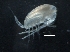  ( - IOS2014011-094)  @11 [ ] CreativeCommons - Attribution Non-Commercial Share-Alike (2019) R. John Nelson Fisheries and Oceans Canada