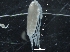  ( - IOS2014012-027)  @11 [ ] CreativeCommons - Attribution Non-Commercial Share-Alike (2019) R. John Nelson Fisheries and Oceans Canada