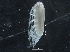  ( - IOS2014012-035)  @11 [ ] CreativeCommons - Attribution Non-Commercial Share-Alike (2019) R. John Nelson Fisheries and Oceans Canada