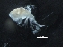  ( - IOS2017093-029)  @11 [ ] CreativeCommons - Attribution Non-Commercial Share-Alike (2019) R. John Nelson Fisheries and Oceans Canada
