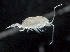  ( - IOS2017093-037)  @11 [ ] CreativeCommons - Attribution Non-Commercial Share-Alike (2019) R. John Nelson Fisheries and Oceans Canada