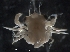  ( - IOS2018025-081)  @11 [ ] Unspecified (default): All Rights Reserved  R John Nelson Unspecified