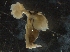  ( - IOS2018026-021)  @11 [ ] CreativeCommons - Attribution Non-Commercial Share-Alike (2019) R. John Nelson Fisheries and Oceans Canada