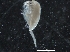  ( - IOS2018034-191)  @11 [ ] CreativeCommons - Attribution Non-Commercial Share-Alike (2019) R. John Nelson Fisheries and Oceans Canada