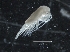  ( - IOS2018034-193)  @11 [ ] CreativeCommons - Attribution Non-Commercial Share-Alike (2019) R. John Nelson Fisheries and Oceans Canada