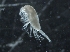  ( - IOS2018034-200)  @11 [ ] CreativeCommons - Attribution Non-Commercial Share-Alike (2019) R. John Nelson Fisheries and Oceans Canada