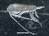  ( - IOS2018034-246)  @11 [ ] CreativeCommons - Attribution Non-Commercial Share-Alike (2019) R. John Nelson Fisheries and Oceans Canada