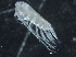  ( - IOS2018034-247)  @11 [ ] CreativeCommons - Attribution Non-Commercial Share-Alike (2019) R. John Nelson Fisheries and Oceans Canada