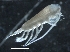  ( - IOS2018034-248)  @11 [ ] CreativeCommons - Attribution Non-Commercial Share-Alike (2019) R. John Nelson Fisheries and Oceans Canada