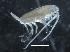  ( - IOS2018034-251)  @11 [ ] CreativeCommons - Attribution Non-Commercial Share-Alike (2019) R. John Nelson Fisheries and Oceans Canada