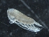  ( - IOS2018034-252)  @11 [ ] CreativeCommons - Attribution Non-Commercial Share-Alike (2019) R. John Nelson Fisheries and Oceans Canada