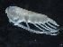  ( - IOS2018034-309)  @11 [ ] CreativeCommons - Attribution Non-Commercial Share-Alike (2019) R. John Nelson Fisheries and Oceans Canada