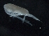  ( - IOS2018034-325)  @11 [ ] CreativeCommons - Attribution Non-Commercial Share-Alike (2019) R. John Nelson Fisheries and Oceans Canada
