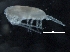  ( - IOS2018034-326)  @11 [ ] CreativeCommons - Attribution Non-Commercial Share-Alike (2019) R. John Nelson Fisheries and Oceans Canada