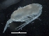  ( - IOS2018034-327)  @11 [ ] CreativeCommons - Attribution Non-Commercial Share-Alike (2019) R. John Nelson Fisheries and Oceans Canada