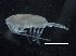  ( - IOS2018034-329)  @11 [ ] CreativeCommons - Attribution Non-Commercial Share-Alike (2019) R. John Nelson Fisheries and Oceans Canada