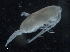  ( - IOS2018034-330)  @11 [ ] CreativeCommons - Attribution Non-Commercial Share-Alike (2019) R. John Nelson Fisheries and Oceans Canada