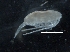  ( - IOS2018034-336)  @11 [ ] CreativeCommons - Attribution Non-Commercial Share-Alike (2019) R. John Nelson Fisheries and Oceans Canada
