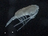  ( - IOS2018034-350)  @11 [ ] CreativeCommons - Attribution Non-Commercial Share-Alike (2019) R. John Nelson Fisheries and Oceans Canada