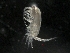  ( - IOS2019001-028)  @11 [ ] CreativeCommons - Attribution Non-Commercial Share-Alike (2019) R. John Nelson Fisheries and Oceans Canada