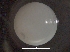  ( - IOS2019005-017)  @11 [ ] CreativeCommons - Attribution Non-Commercial Share-Alike (2019) R. John Nelson Fisheries and Oceans Canada