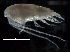  ( - IOS2019008-037)  @11 [ ] CreativeCommons - Attribution Non-Commercial Share-Alike (2019) R. John Nelson Fisheries and Oceans Canada