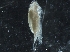  ( - IOS2019044-041)  @11 [ ] CreativeCommons - Attribution Non-Commercial Share-Alike (2019) R. John Nelson Fisheries and Oceans Canada