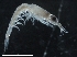  ( - IOS2019044-062)  @11 [ ] CreativeCommons - Attribution Non-Commercial Share-Alike (2019) R. John Nelson Fisheries and Oceans Canada