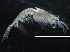  ( - IOS2019044-068)  @11 [ ] CreativeCommons - Attribution Non-Commercial Share-Alike (2019) R. John Nelson Fisheries and Oceans Canada