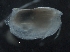  ( - IOS2019062-057)  @11 [ ] CreativeCommons - Attribution Non-Commercial Share-Alike (2019) R. John Nelson Fisheries and Oceans Canada