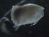 ( - IOS2019062-059)  @11 [ ] CreativeCommons - Attribution Non-Commercial Share-Alike (2019) R. John Nelson Fisheries and Oceans Canada