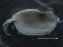  ( - IOS2019062-062)  @11 [ ] CreativeCommons - Attribution Non-Commercial Share-Alike (2019) R. John Nelson Fisheries and Oceans Canada