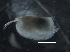  ( - IOS2019062-066)  @11 [ ] CreativeCommons - Attribution Non-Commercial Share-Alike (2019) R. John Nelson Fisheries and Oceans Canada