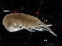 ( - IOS2021005-002)  @11 [ ] CC - Attribution Non-Commercial Share-Alike (2021) John Nelson DFO
