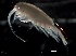  ( - IOS2021006-001)  @11 [ ] CC - Attribution Non-Commercial Share-Alike (2021) John Nelson DFO