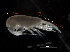  ( - IOS2021006-039)  @11 [ ] CC - Attribution Non-Commercial Share-Alike (2021) John Nelson DFO