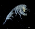  ( - IOS2021012-065)  @11 [ ] CC - Attribution Non-Commercial Share-Alike (2024) Julian Smith DFO