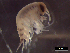  ( - IOS2021036-008)  @11 [ ] CC - Attribution Non-Commercial Share-Alike (2021) Julian Smith DFO