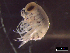  ( - IOS2021036-009)  @11 [ ] CC - Attribution Non-Commercial Share-Alike (2021) Julian Smith DFO