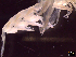  ( - IOS2021036-020)  @11 [ ] CC - Attribution Non-Commercial Share-Alike (2024) Julian Smith DFO