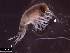 ( - IOS2021036-026)  @11 [ ] CC - Attribution Non-Commercial Share-Alike (2021) Julian Smith DFO