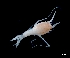  ( - IOS2021036-119)  @11 [ ] CC - Attribution Non-Commercial Share-Alike (2024) Julian Smith DFO