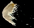  ( - IOS2022022-062)  @11 [ ] CC - Attribution Non-Commercial Share-Alike (2023) Julian Smith DFO