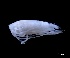  ( - IOS2023019-005)  @11 [ ] CC - Attribution Non-Commercial Share-Alike (2024) Julian Smith DFO