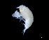  ( - IOS2023026-007)  @11 [ ] CC - Attribution Non-Commercial Share-Alike (2024) Julian Smith DFO