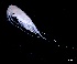  ( - IOS2023026-015)  @11 [ ] CC - Attribution Non-Commercial Share-Alike (2024) Julian Smith DFO